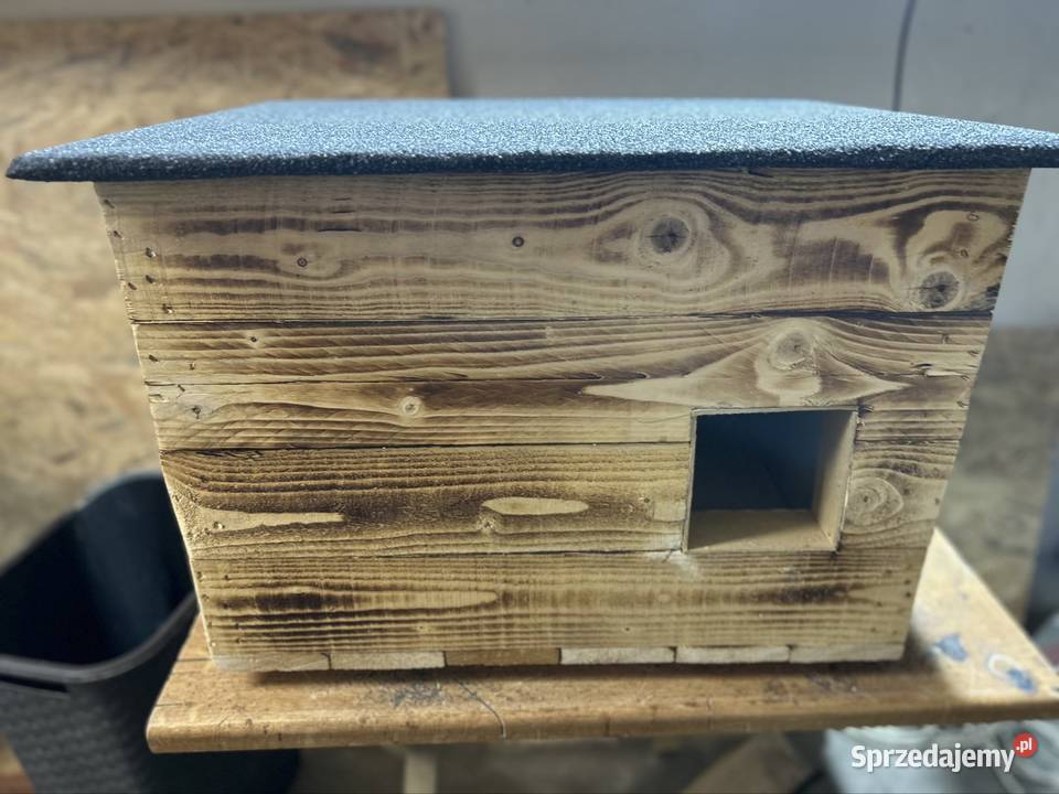 Buda psa kota Dla psów Grudziądz