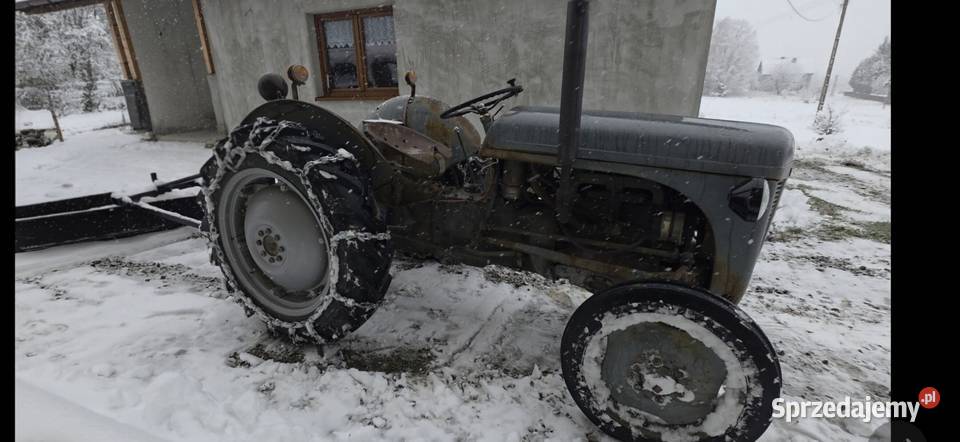 Ferguson tea 20 Limanowa