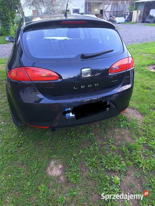 Sprzedam Seat Leon 2 16 bg Miedziana Góra