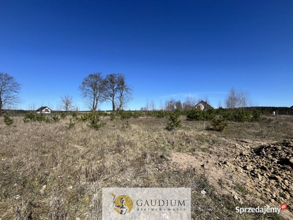 Działka pod budowę domu I 3104 m2 I gm Lubichowo Lipinki Królewskie