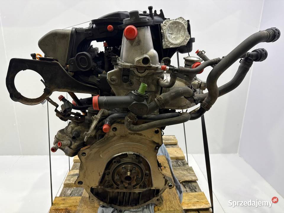 SILNIK BEH VW Golf IV 20 8V 116 benzyna osobowe sprzedam