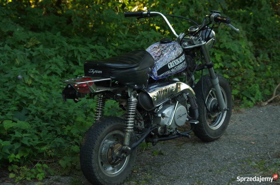 SKYTEAM MONKEY 125 stunt niecbrr1r6 111km Nisko