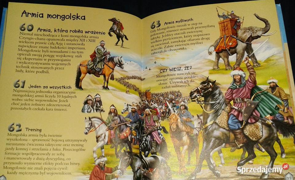 101 ciekawostek Wojownicy Niko Dominguez F Chełm