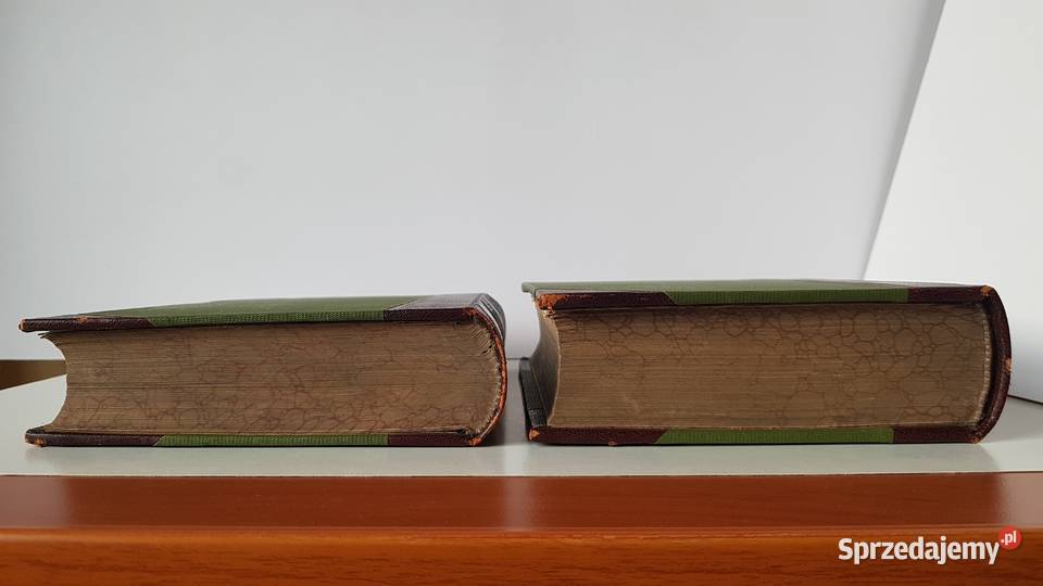 Stary słownik języka polskiego i niemieckiego Dąbrowa Górnicza