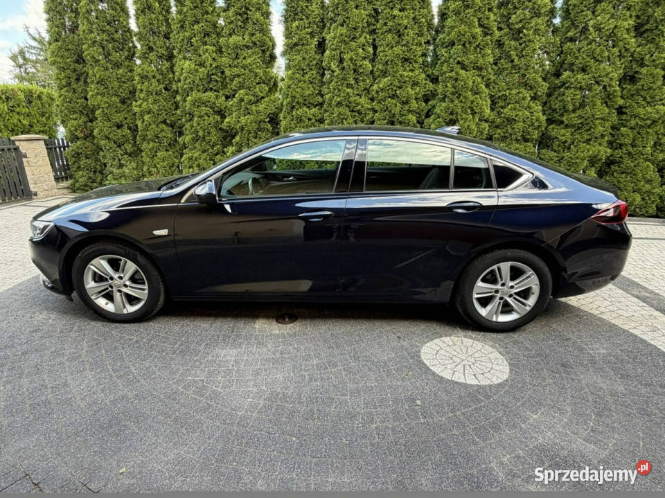 Opel Insignia Automat Bose Kamera Serwis garażowany Płońsk