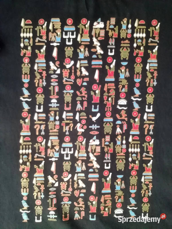 Bawełniana bluzka męska z krótkim rękawem Rozmiar L łódzkie Łódź