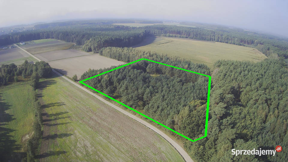 Działka z prywatnym lasem Wydane WZ i pozwolenie Sprzedaż Nowa Róża