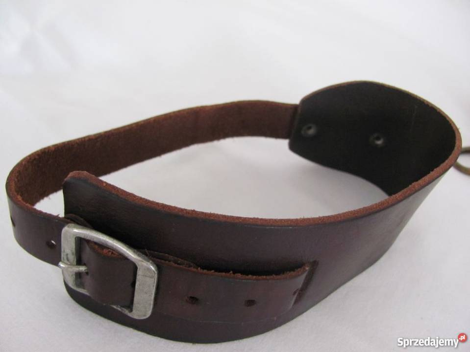 pasek obroża pieska skóra brązowa 46 Zamość