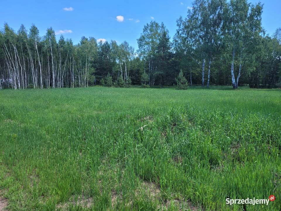 Piękne działki Dąbek 13001700m2