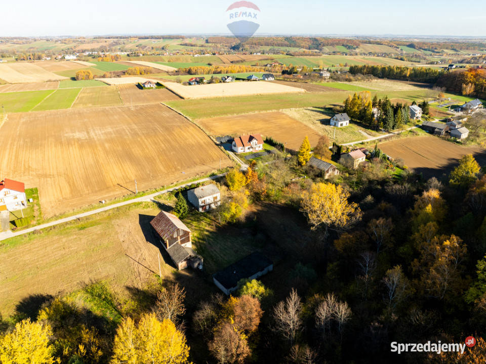 Dom z kawałkiem lasu i bijącym źródłem obok Stoki