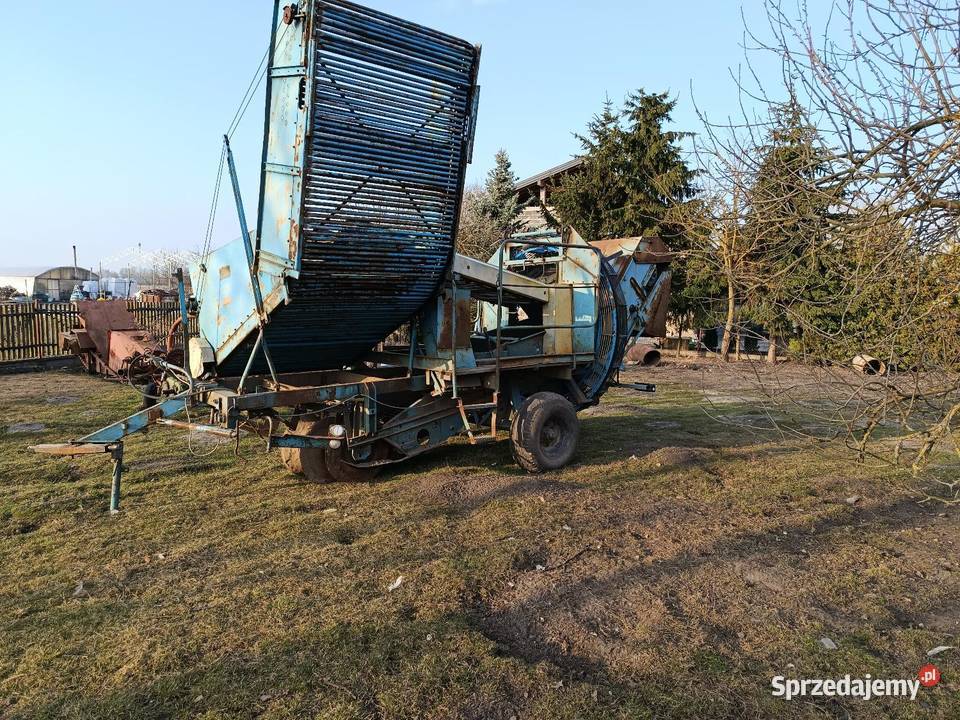 Kombajn do ziemniaków Anna Świniary