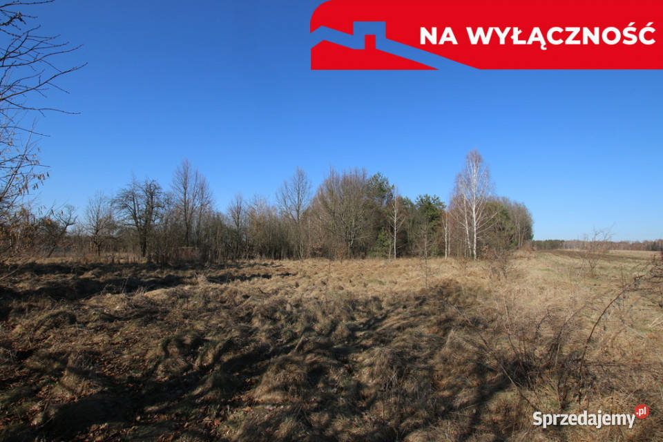 Działka rolnobudow Wola Mieczysławska gLubartów Sprzedaż sprzedam