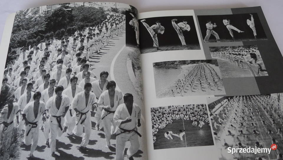 ASHIHARA More Fighting Karate czII Sabaki Radom
