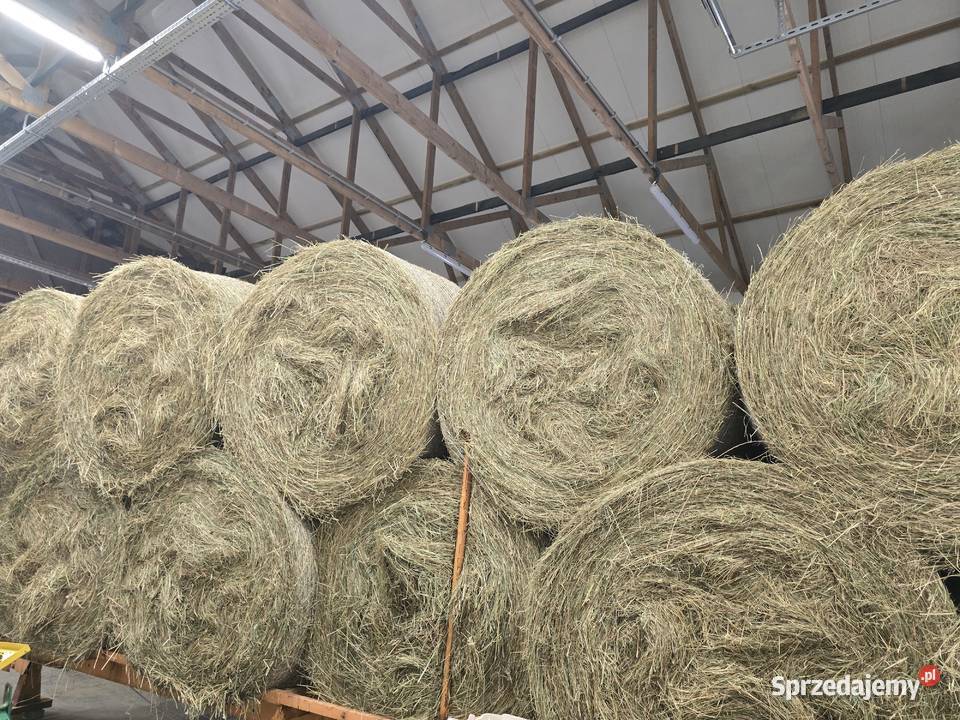 Sprzedam siano pierwszy pokos Pomieczyńska Huta