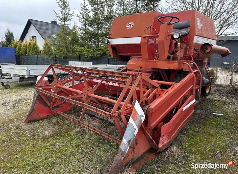 Kombajn Massey Ferguson 187 nieuszkodzony świętokrzyskie Łachów