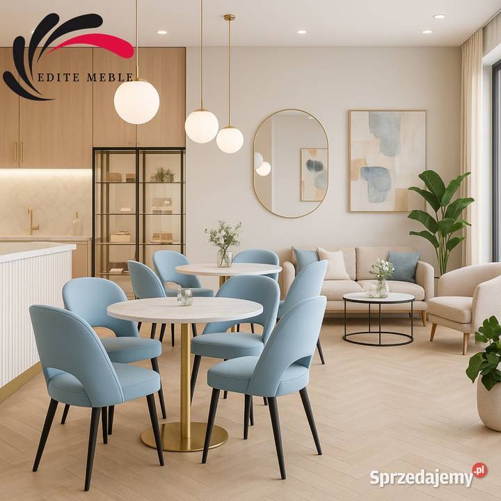 Krzesło Tapicerowane Premium KL5 Edite Meble do Warszawa