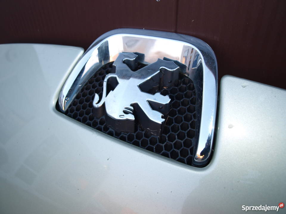 Peugeot 407 Coupe maska pokrywa silnika 2005 części blacharskie Kalisz sprzedam