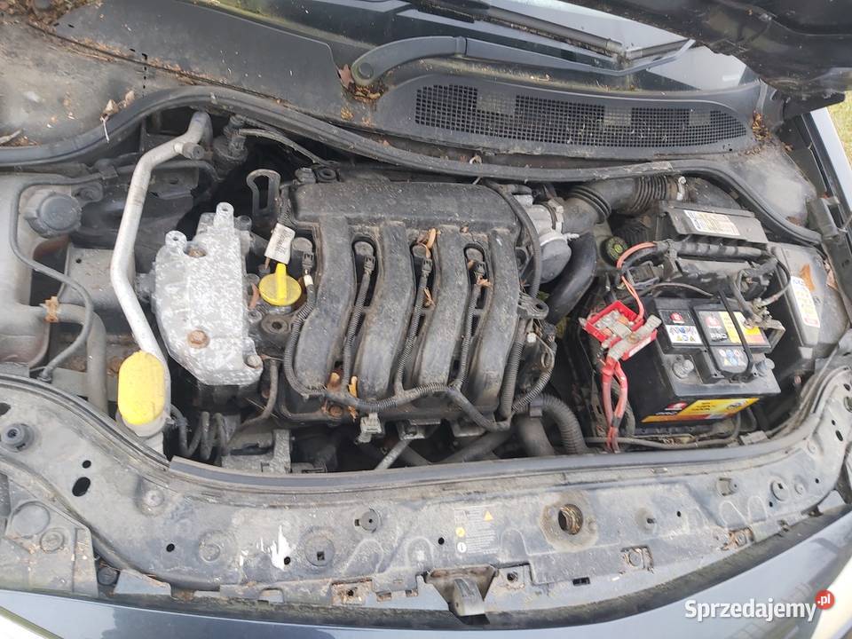 Silnik renault megane 16 16v cabrio lubuskie Słubice