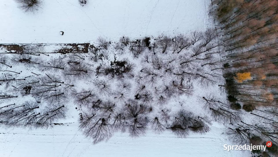 sprzedaży gruntu 1900 metrów Besko Sprzedaż