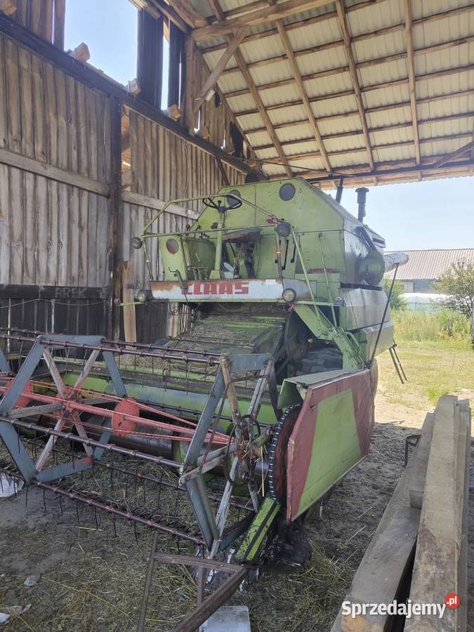Claas Mercator 50 Krzywica