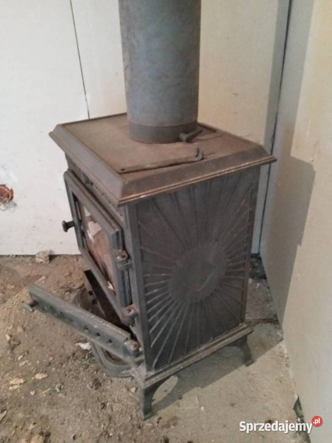 Kominek koza 2 sezony Poznań