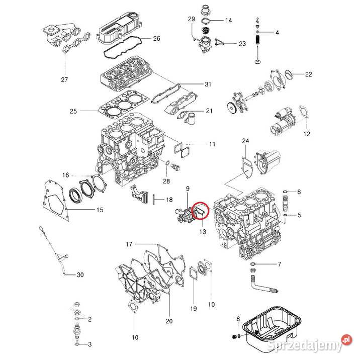 Uszczelka pompy wody LS Tractor 40109139 Tajęcina