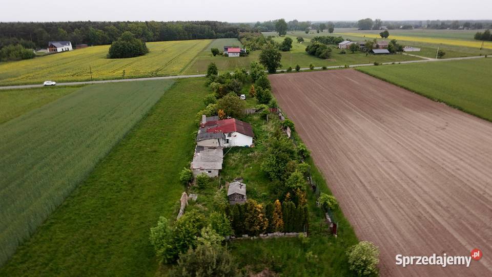 Zgniłe Błoto Błoto C Sprzedaż Aleksandrów Łódzki sprzedam