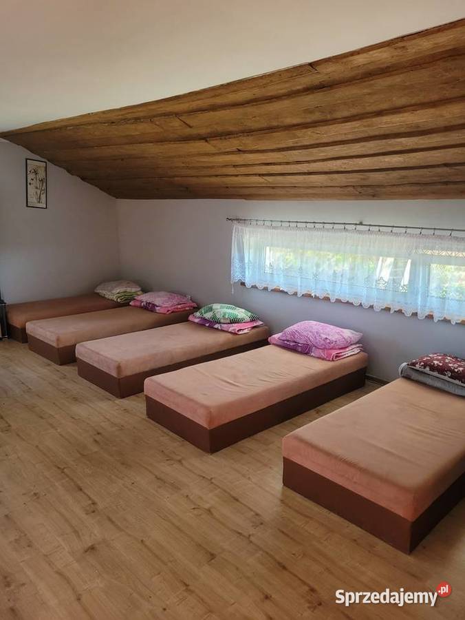 Urlop Zaciszny Kącik pod Lasem Wolne pokoje na