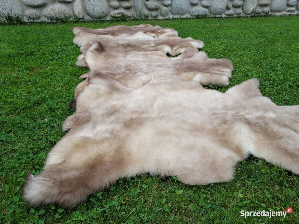 Skóra Owcza Naturalna MURDZIATA Czarnogłówka Wyposażenie wnętrz Szaflary