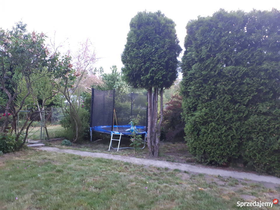 Działka ROD Tarnów z BASENEM TRAMPOLINĄ PLACEM małopolskie