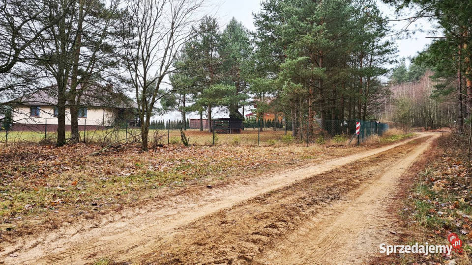 Grunt Pieńki 1911m2