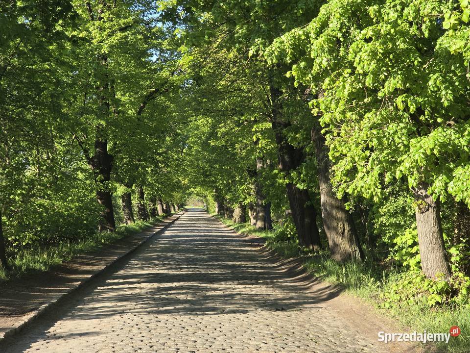 Ogródek działkowy ROD Energetyk Brochów Wrocław