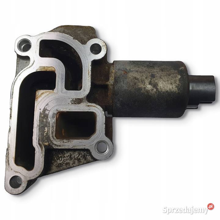 ZAWÓR EGR Opel Movano 25 DCI oryginał 55556720 Chełm sprzedam