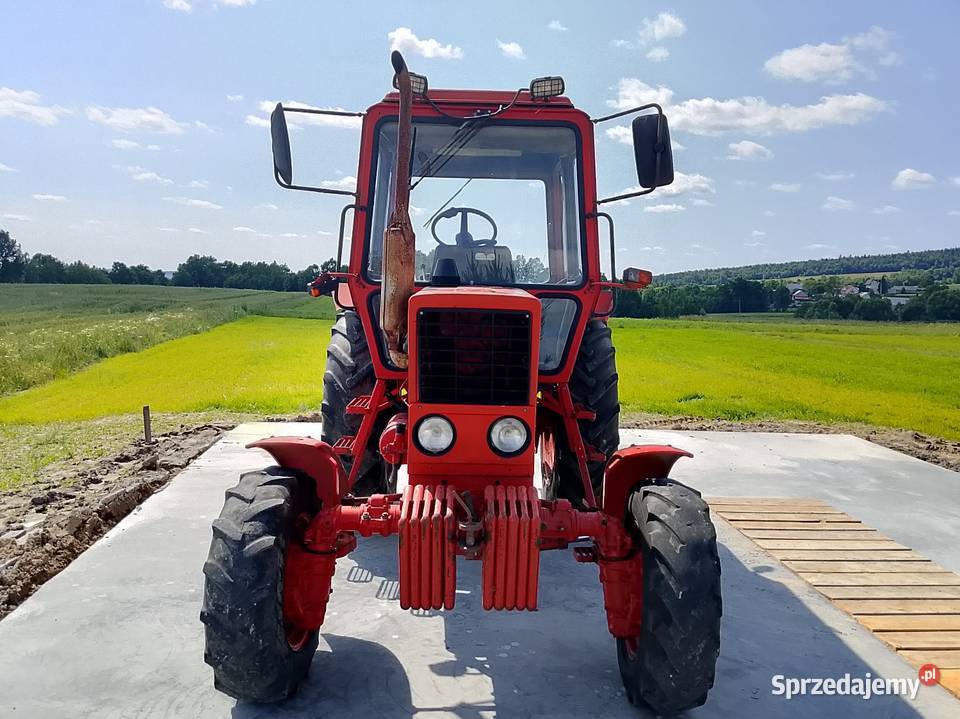 Belarus MTZ 82 1999 świętokrzyskie sprzedam