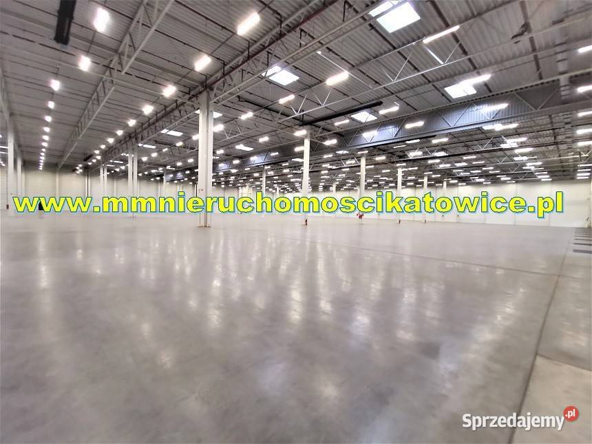 Powierzchnie magazynowe do wynajęcia do 10000 m2 9375m2 Sosnowiec