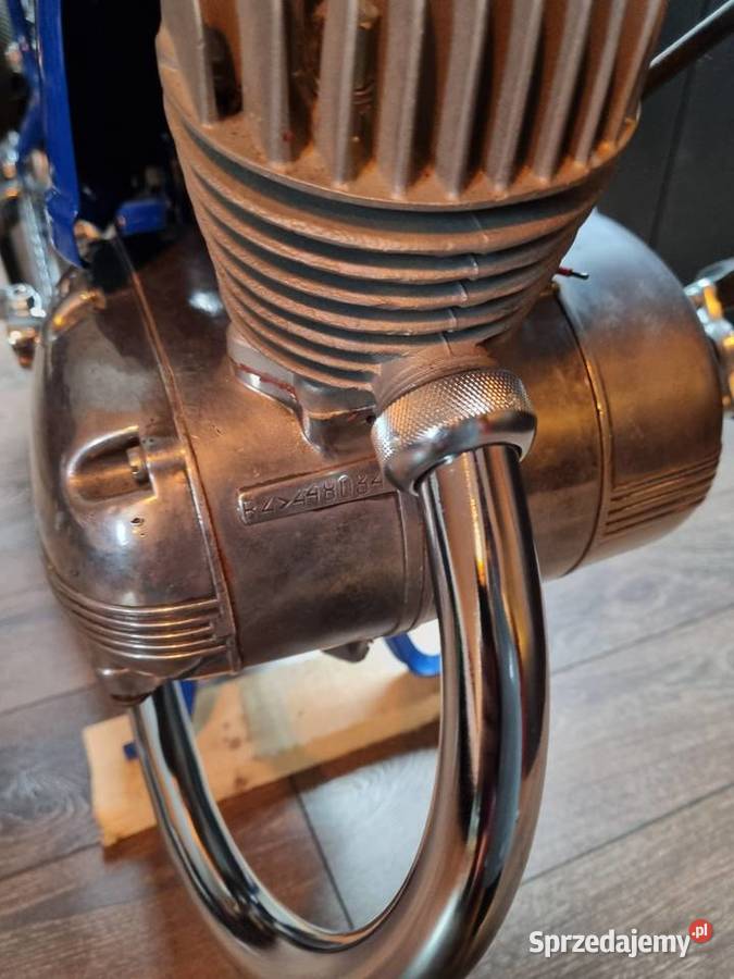 Komar sztywniak 2320 małopolskie Nowy Sącz