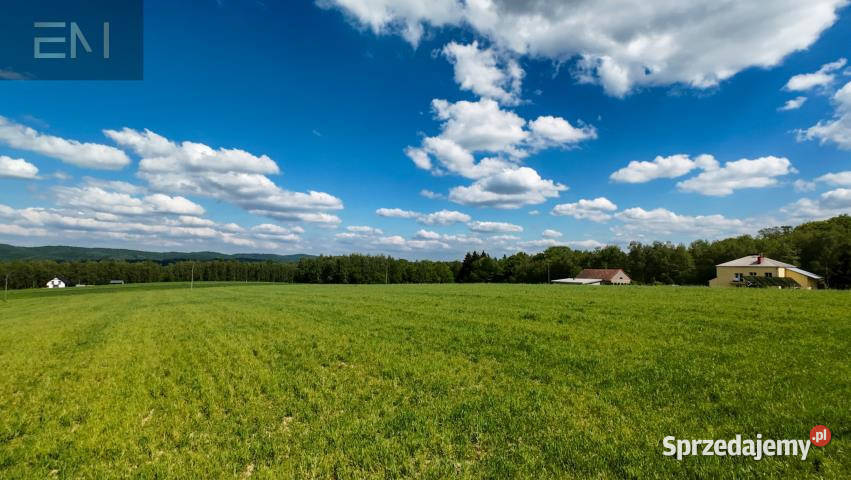 Działka Glinik Dolny 24100m2