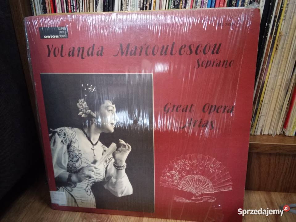 Płyty winylowe mint near mint opera stare Włocławek