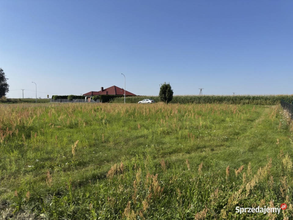 Działka 10 Arów Gręboszyce Sprzedaż