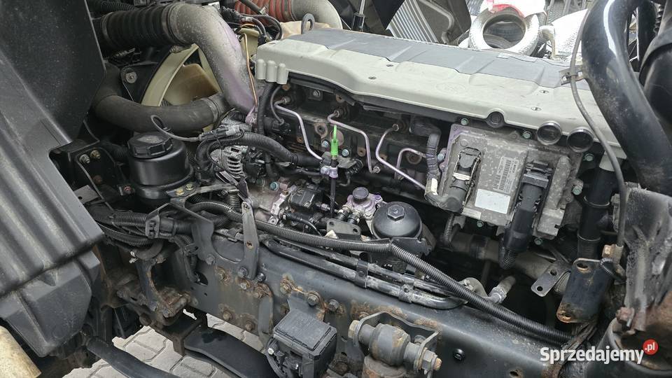 MAN TGS 18400 4x2 CHJŁODNIA IZOTERMA CARRIER Nowy Świętów