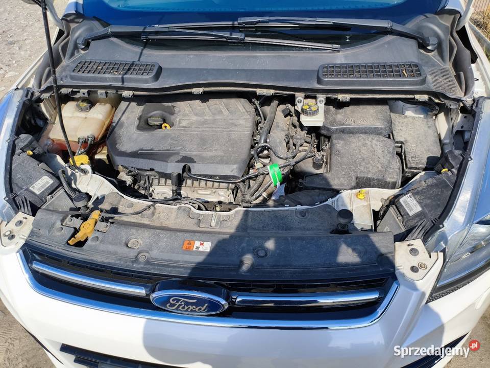 Ford Kuga Polski salon drugi właściciel Kuga kujawsko-pomorskie Tur