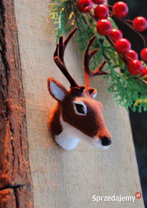 Jeleń głowa jelenia poroże trofeum magnes 3D Lublin