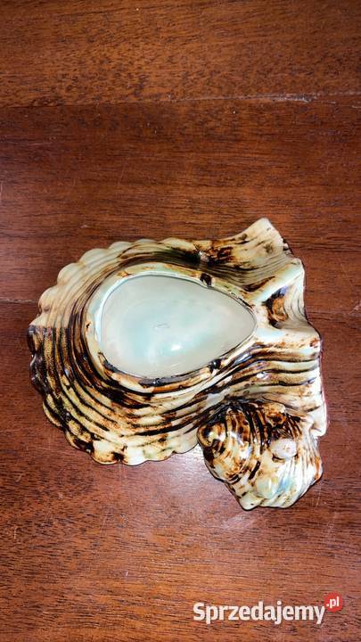 Paterka muszelka Popielniczka Porcelana O wys 3 Gdańsk sprzedam