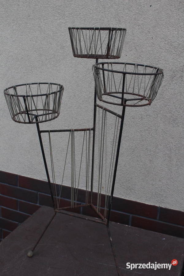 kwietnik żyłkowy prl wielkopolskie