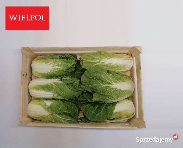 Sprzedam skrzynki drewniane z łuszczki Wielichowo