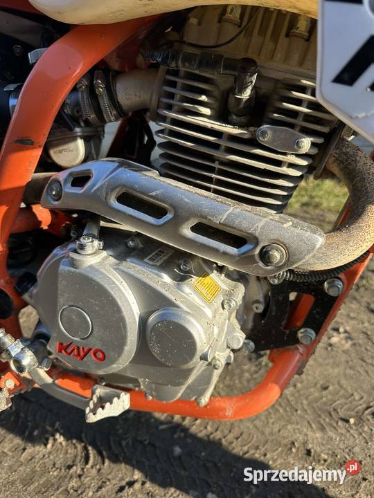 kayo k2 2023r Sędziszów