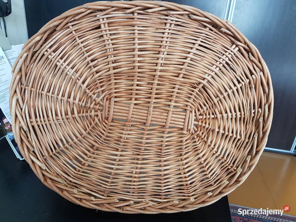 Transporter kota Tarnowskie Góry