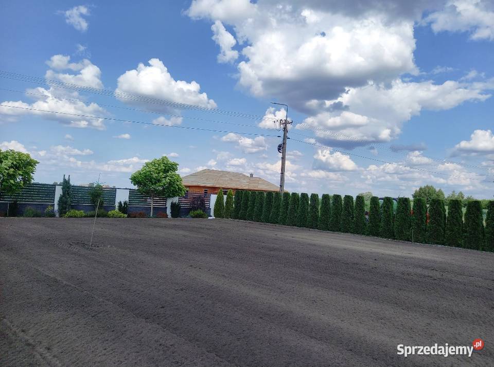GLEBOGRYZARKA SEPARACYJNA USŁUGI TROJANÓW Trojanów