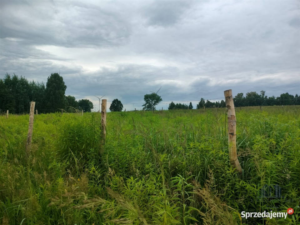 sprzedaży działki 1116m2 Kunów budowlana