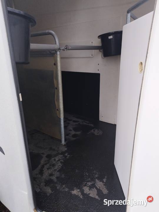 Przyczepa Konna Boeckmann Thiel Explorer z Radom sprzedam